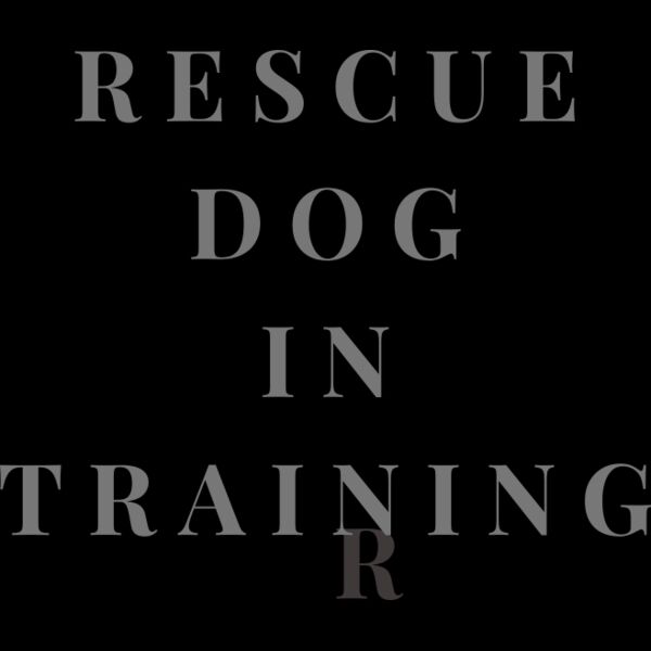 Rescue Dog In Training  Thumbnail